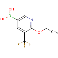 CAS:849934-85-6 | PC412399 | 6-Ethoxy-5-(trifluoromethyl)-3-pyridinyl boronic acid