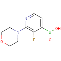 CAS: 1256355-28-8 | PC412458 | 3-Fluoro-2-morpholinopyridine-4-boronic acid