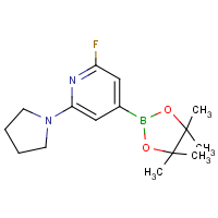 CAS:1309980-28-6 | PC412480 | 2-Fluoro-6-pyrrolidinopyridine-4-boronic acid, pinacol ester