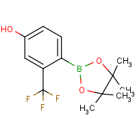 CAS:1029439-76-6 | PC412502 | 4-Hydroxy-2-(trifluoromethyl)phenylboronic acid, pinacol ester
