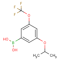 CAS: 1256346-01-6 | PC412505 | 3-Isopropoxy-5-(trifluoromethoxy)phenylboronic acid
