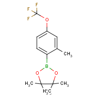 CAS:1309980-29-7 | PC412527 | 2-Methyl-4-trifluoromethoxyphenylboronic acid, pinacol ester
