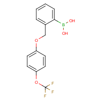 CAS: 849062-07-3 | PC412546 | 2-((4'-(Trifluoromethoxy)phenoxy)methyl)phenylboronic acid
