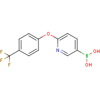 CAS:1256358-58-3 | PC412559 | 2-(4-Trifluoromethylphenoxy)pyridine-5-boronic acid