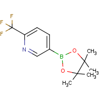 CAS: 1218790-39-6 | PC412564 | 2-Trifluoromethylpyridine-5-boronic acid, pinacol ester