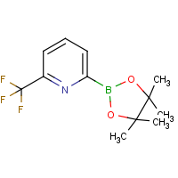 CAS: 881402-16-0 | PC412565 | 6-(Trifluoromethyl)pyridine-2-boronic acid, pinacol ester
