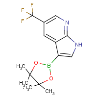 CAS: 1198094-97-1 | PC412566 | 5-Trifluoromethylpyrrolo[2,3-b]pyridine-3-boronic acid, pinacol ester