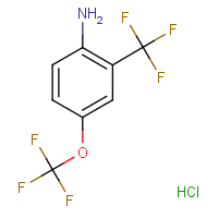 CAS: 1588441-12-6 | PC421019 | 4-(Trifluoromethoxy)-2-(trifluoromethyl)aniline hydrochloride