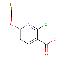 CAS:1221172-04-8 | PC421072 | 2-Chloro-6-(trifluoromethoxy)nicotinic acid
