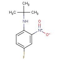 CAS: 239080-03-6 | PC4355 | N-tert-Butyl-4-fluoro-2-nitroaniline