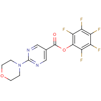 CAS:941717-05-1 | PC4395 | Pentafluorophenyl 2-morpholin-4-ylpyrimidine-5-carboxylate