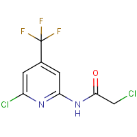 CAS: 1311279-82-9 | PC446093 | 2-Chloro-N-(6-chloro-4-trifluoromethylpyridin-2-yl)acetamide