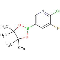CAS:1073312-28-3 | PC448008 | 2-Chloro-3-fluoro-5-(4,4,5,5-tetramethyl-1,3,2-dioxaborolan-2-yl)pyridine
