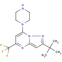 CAS: 516494-46-5 | PC4646 | 2-tert-Butyl-7-piperazino-5-(trifluoromethyl)pyrazolo[1,5-a]pyrimidine