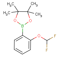 CAS:960067-33-8 | PC48609 | 2-(Difluoromethoxy)benzeneboronic acid, pinacol ester