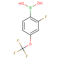 CAS:503309-10-2 | PC48616 | 2-Fluoro-4-(trifluoromethoxy)benzeneboronic acid