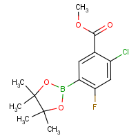 CAS:1073339-13-5 | PC48622 | Methyl 2-chloro-4-fluoro-5-(4,4,5,5-tetramethyl-1,3,2-dioxaborolan-2-yl)benzoate