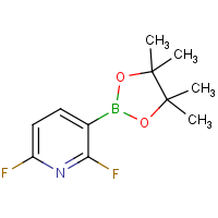 CAS:1072945-00-6 | PC48726 | 2,6-Difluoropyridine-3-boronic acid, pinacol ester