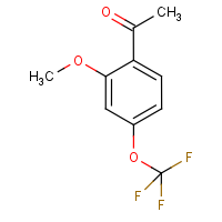 CAS:886500-08-9 | PC49066 | 2'-Methoxy-4'-(trifluoromethoxy)acetophenone