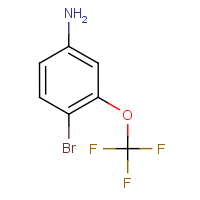 CAS: 116369-25-6 | PC49116 | 4-Bromo-3-(trifluoromethoxy)aniline