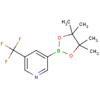 CAS:1084953-47-8 | PC49119 | 5-(Trifluoromethyl)pyridine-3-boronic acid, pinacol ester