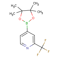 CAS:1036990-42-7 | PC49307 | 2-(Trifluoromethyl)pyridine-4-boronic acid, pinacol ester