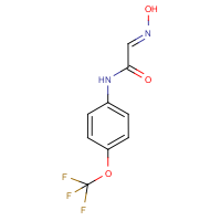 CAS:175205-25-1 | PC4952G | 2-Isonitroso-4'-(trifluoromethoxy)acetanilide