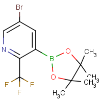 CAS:1256360-49-2 | PC49676 | 5-Bromo-3-(4,4,5,5-tetramethyl-1,3,2-dioxaborolan-2-yl)-2-(trifluoromethyl)pyridine