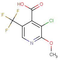 CAS: 1221792-35-3 | PC50024 | 3-Chloro-2-methoxy-5-(trifluoromethyl)isonicotinic acid