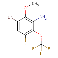 CAS: 1823556-19-9 | PC500515 | 2-Amino-6-bromo-4-fluoro-3-(trifluoromethoxy)anisole