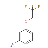 CAS: 123207-61-4 | PC500812 | 3-(2,2,2-Trifluoroethoxy)aniline