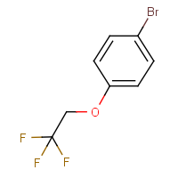 CAS: 106854-77-7 | PC500829 | 4-(2,2,2-Trifluoroethoxy)bromobenzene
