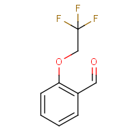 CAS: 145742-43-4 | PC500831 | 2-(2,2,2-Trifluoroethoxy)benzaldehyde