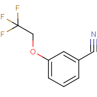 CAS: 84328-66-5 | PC500840 | 3-(2,2,2-Trifluoroethoxy)benzonitrile