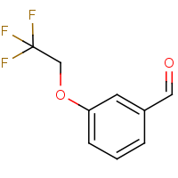 CAS:155908-58-0 | PC500841 | 3-(2,2,2-Trifluoroethoxy)benzaldehyde