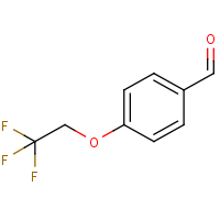 CAS: 76579-46-9 | PC500850 | 4-(2,2,2-Trifluoroethoxy)benzaldehyde