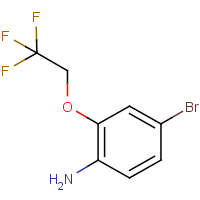 CAS: 1496808-60-6 | PC500863 | 4-Bromo-2-(2,2,2-trifluoroethoxy)aniline