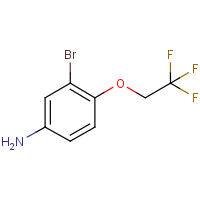 CAS: 710351-84-1 | PC500872 | 3-Bromo-4-(2,2,2-trifluoroethoxy)aniline