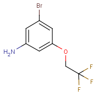 CAS: 1695758-32-7 | PC500875 | 3-Bromo-5-(2,2,2-trifluoroethoxy)aniline