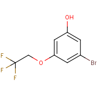 CAS:1235566-13-8 | PC500876 | 3-Bromo-5-(2,2,2-trifluoroethoxy)phenol