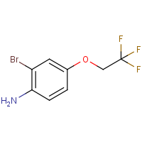 CAS: 1936043-37-6 | PC501244 | 2-Bromo-4-(2,2,2-trifluoroethoxy)aniline