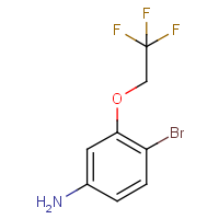 CAS: 1690633-46-5 | PC501246 | 4-Bromo-3-(2,2,2-trifluoroethoxy)aniline