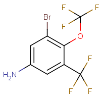 CAS:1805569-34-9 | PC501345 | 3-Bromo-4-(trifluoromethoxy)-5-(trifluoromethyl)aniline