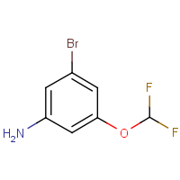 CAS: 1261679-26-8 | PC501695 | 3-Bromo-5-(difluoromethoxy)aniline
