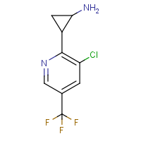 CAS: | PC50174 | 2-[3-Chloro-5-(trifluoromethyl)-2-pyridyl]cyclopropanamine