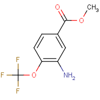 CAS: 721-09-5 | PC501879 | Methyl 3-amino-4-(trifluoromethoxy)benzoate