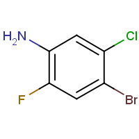 CAS: 116369-24-5 | PC502456 | 4-Bromo-5-chloro-2-fluoroaniline