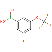 CAS: 1283540-43-1 | PC502469 | 3-Fluoro-5-(trifluoromethoxy)benzeneboronic acid