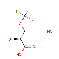 CAS:2450267-19-1 | PC50411 | (2S)-2-Amino-3-(trifluoromethoxy)propanoic acid hydrochloride