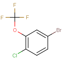 CAS: 406232-79-9 | PC50436 | 4-Chloro-3-(trifluoromethoxy)bromobenzene